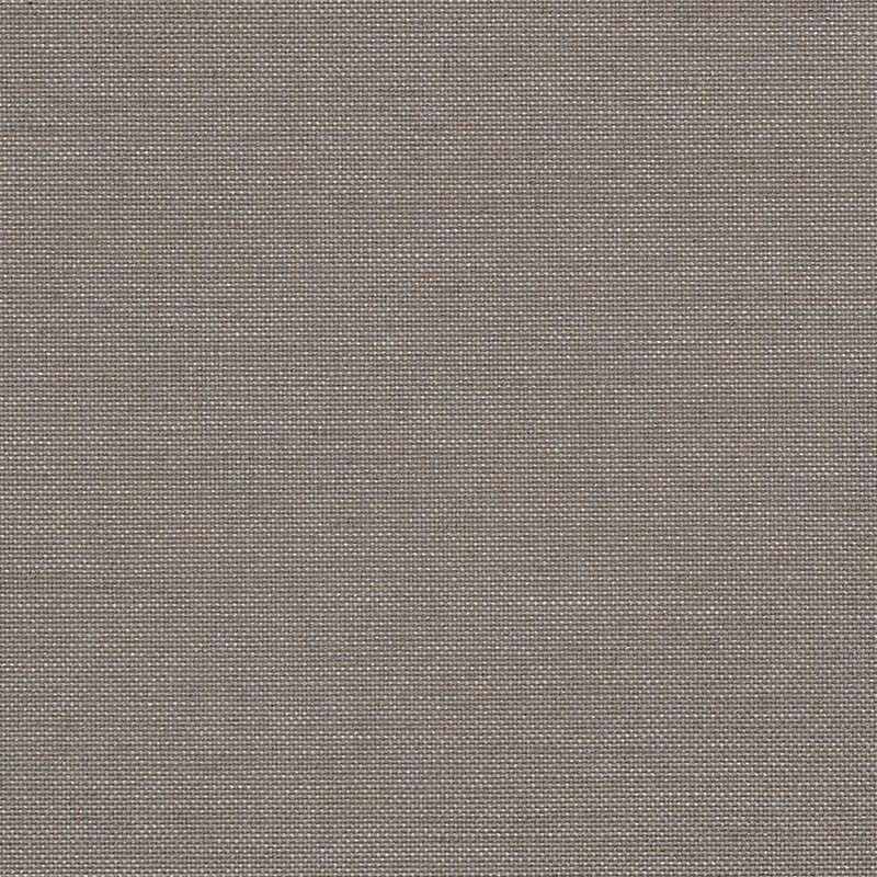 Bibliotheque Road Runner Mask